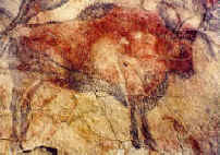 cave_painting_bison.jpg (10567 bytes)