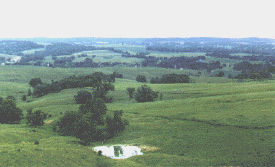 lndscpnw.GIF (102373 bytes)