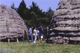 icwa.jpg (45659 bytes)